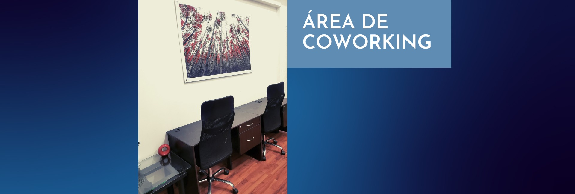 banner-coworking-2025